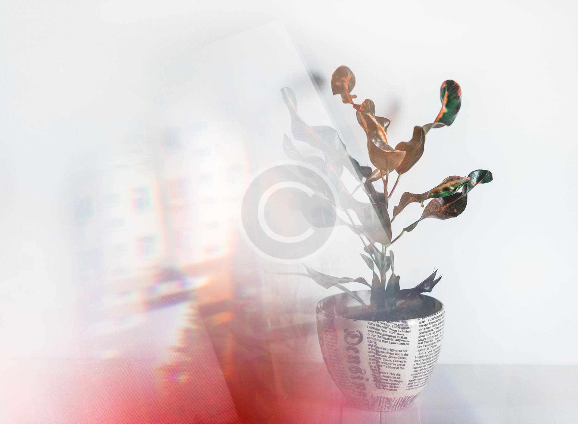 custom-img-68-copyright